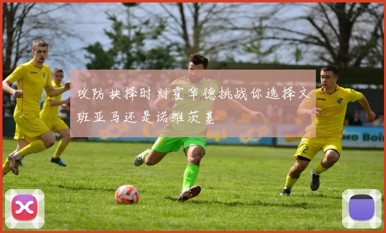 攻防抉择时刻霍华德挑战你选择文班亚马还是诺维茨基