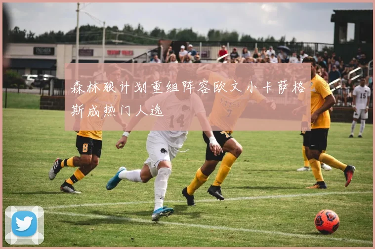 森林狼计划重组阵容欧文小卡萨格斯成热门人选